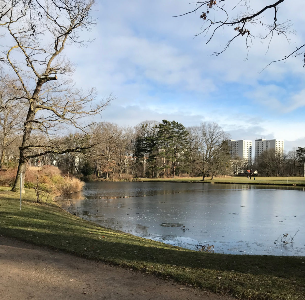 Neujahrsspaziergang